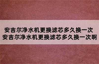 安吉尔净水机更换滤芯多久换一次 安吉尔净水机更换滤芯多久换一次啊